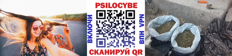 Псилоцибиновые грибы ЛСД  Эртиль 